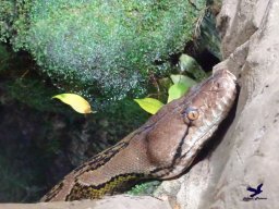 Haus des Meeres 4.02.2026